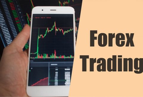Learn Forex Trading