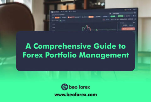 A Comprehensive Guide to Forex Portfolio Management
