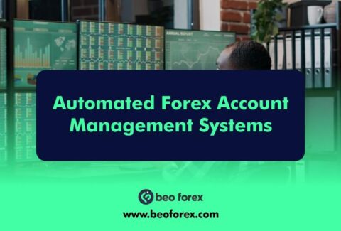 Automated Forex Account Management Systems