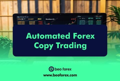 Automated Forex Copy Trading