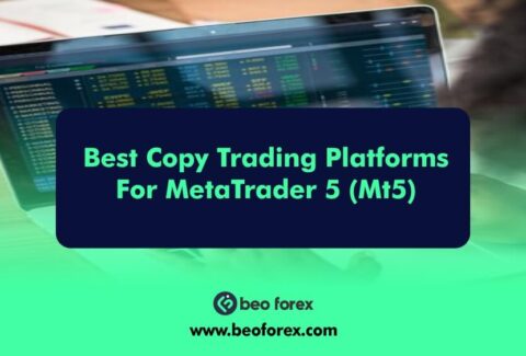 Best Copy Trading Platforms For MetaTrader 5 (MT5)