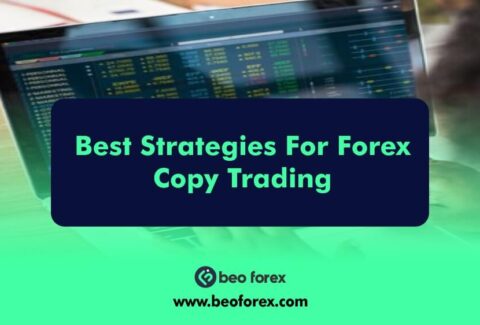 Best Strategies For Forex Copy Trading