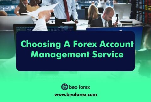 Choosing A Forex Account Management Service