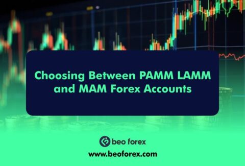 Choosing Between PAMM LAMM and MAM Forex Accounts