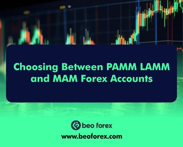 Choosing Between PAMM LAMM and MAM Forex Accounts