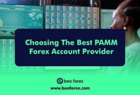 Choosing The Best PAMM Forex Account Provider