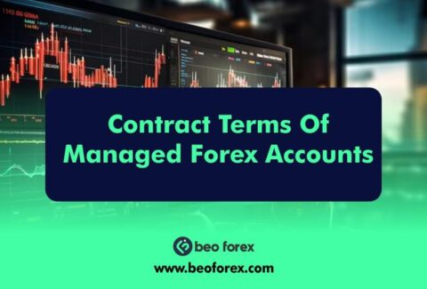 Contract Terms Of Managed Forex Accounts
