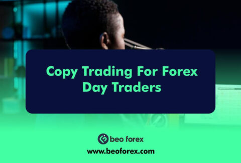 Copy Trading For Forex Day Traders