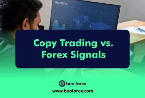Copy Trading vs. Forex Signals