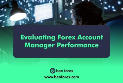 Evaluating Forex Account Manager Performance