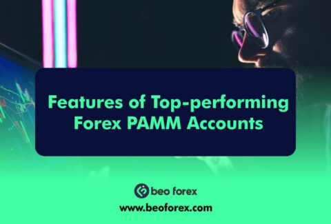 Features of Top-performing Forex PAMM Accounts