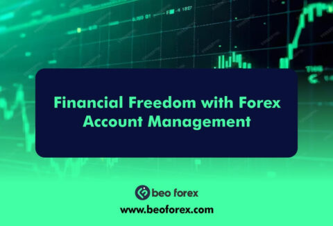 Financial Freedom with Forex Account Management