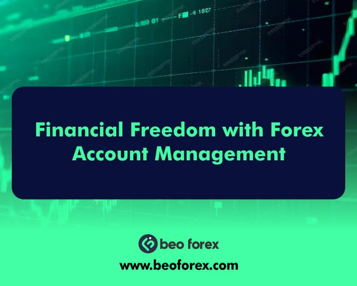 Financial Freedom with Forex Account Management