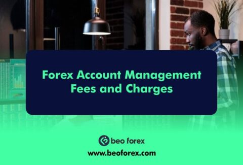 Forex Account Management Fees and Charges
