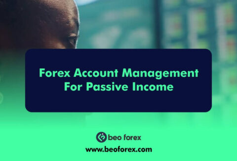 Forex Account Management For Passive Income