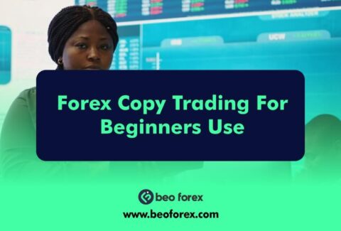 Forex Copy Trading For Beginners Use
