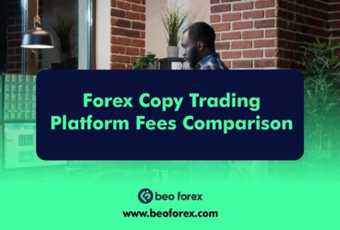 Forex Copy Trading Platform Fees Comparison