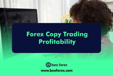Forex Copy Trading Profitability