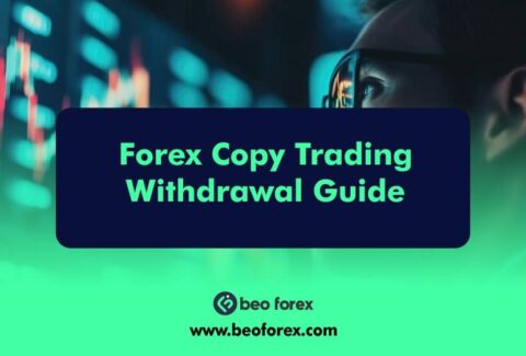 Forex Copy Trading Withdrawal Guide