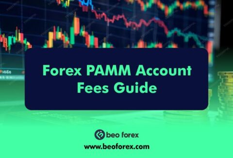Forex PAMM Account Fees Guide