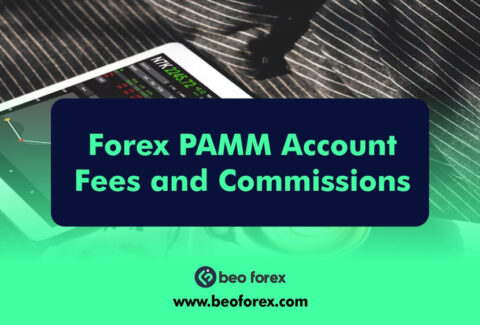 Forex PAMM Account Fees and Commissions