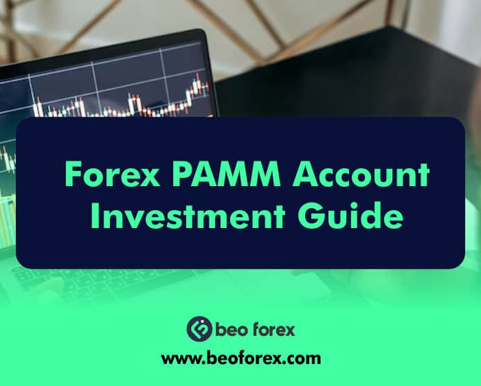 Forex PAMM Account Investment Guide