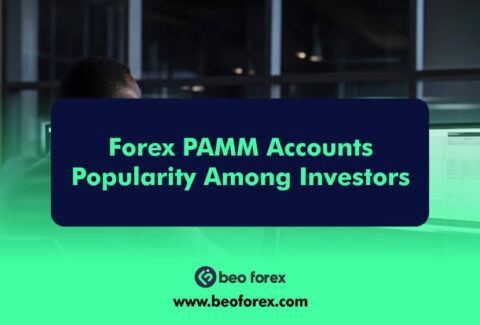 Forex PAMM Accounts Popularity Among Investors