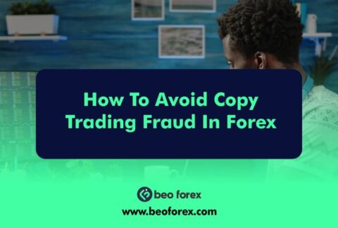 How To Avoid Copy Trading Fraud In Forex