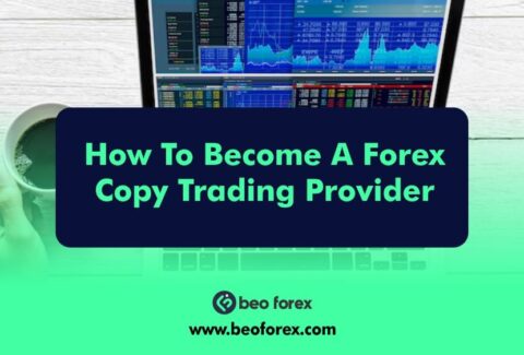 How To Become A Forex Copy Trading Provider