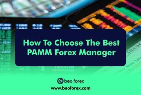 How To Choose The Best PAMM Forex Manager