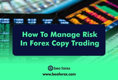 How To Manage Risk In Forex Copy Trading