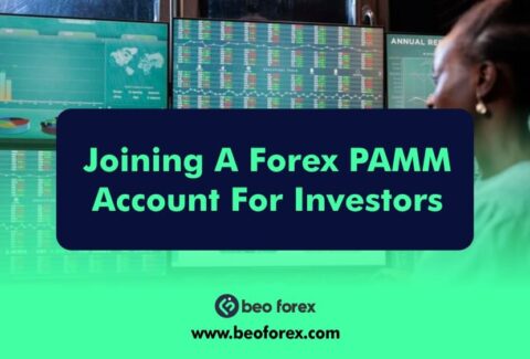 Joining A Forex PAMM Account For Investors
