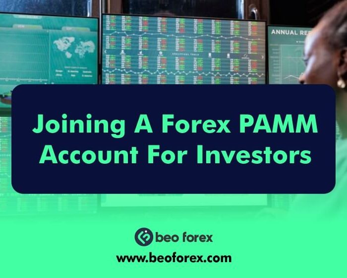 Joining A Forex PAMM Account For Investors