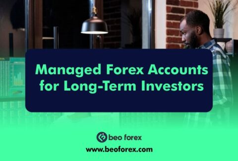 Managed Forex Accounts for Long-Term Investors