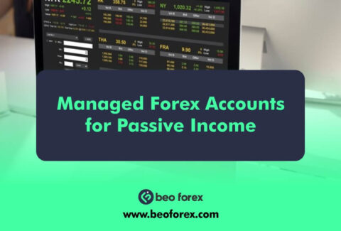 Managed Forex Accounts for Passive Income