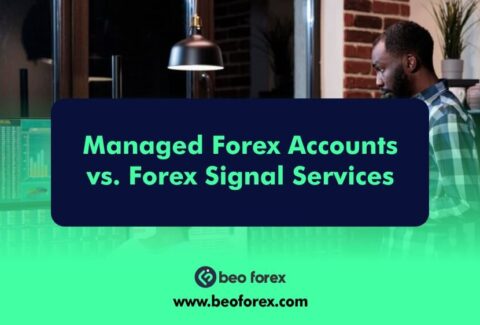 Managed Forex Accounts vs. Forex Signal Services