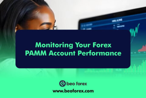 Monitoring Your Forex PAMM Account Performance