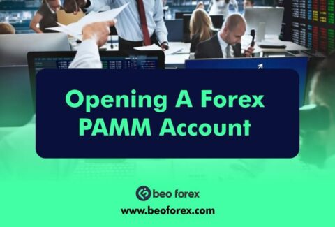 Opening A Forex PAMM Account