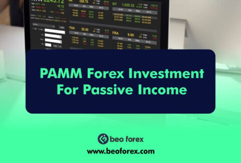 PAMM Forex Investment For Passive Income