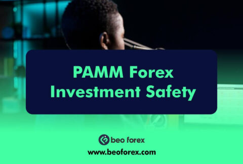 PAMM Forex Investment Safety