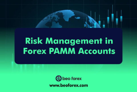 Risk Management in Forex PAMM Accounts