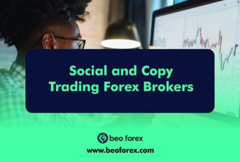 Social and Copy Trading Forex Brokers