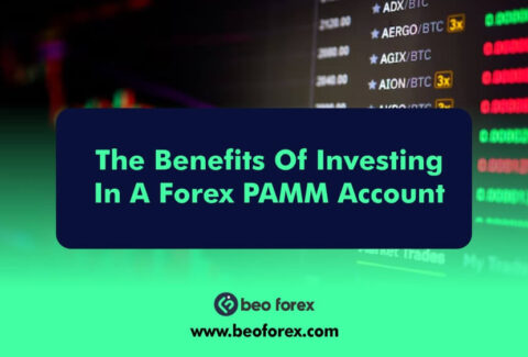 The Benefits Of Investing In A Forex PAMM Account