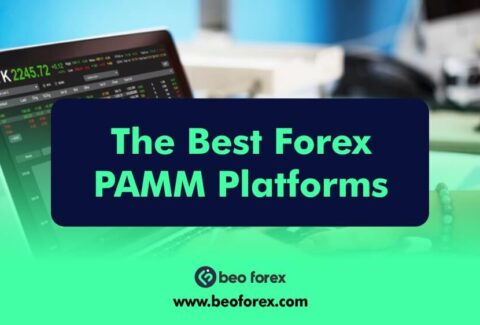 The Best Forex PAMM Platforms