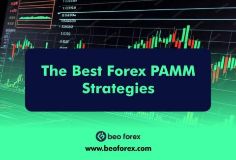 The Best Forex PAMM Strategies