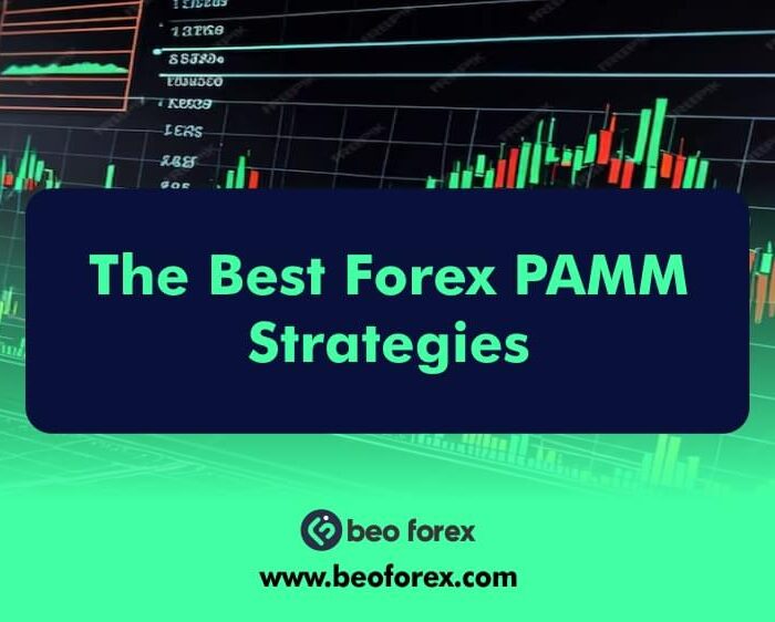 The Best Forex PAMM Strategies