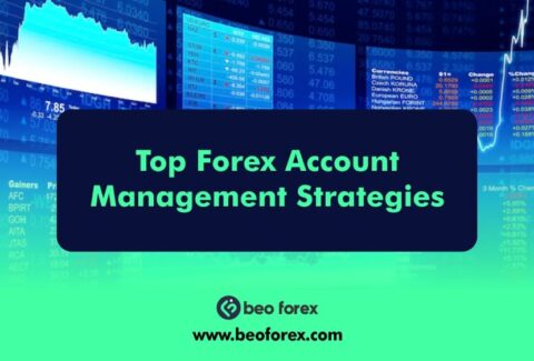 Top Forex Account Management Strategies