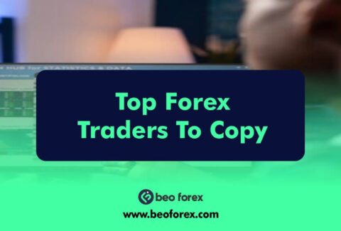 Top Forex Traders To Copy