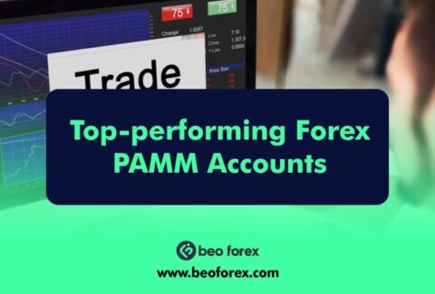 Top-performing Forex PAMM Accounts