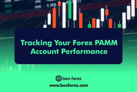 Tracking Your Forex PAMM Account Performance